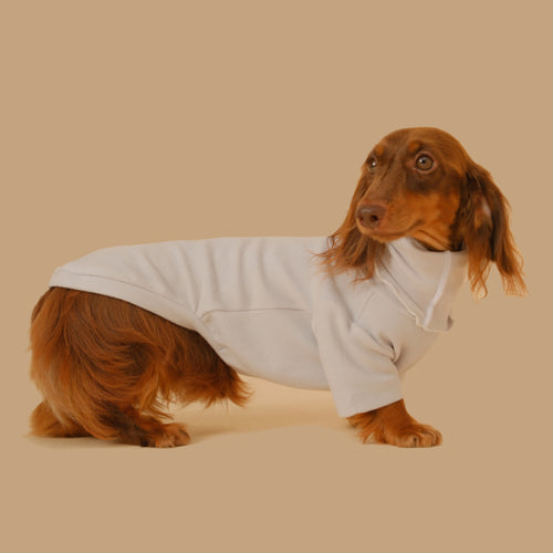 Abrigo Base para Perros Salchicha - Protección y Comodidad