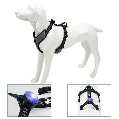 Luz Nocturna Localizadora para Perros - Image 22