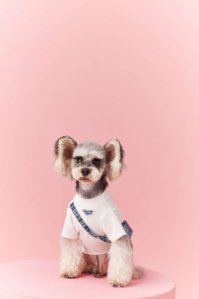 Ropa de Verano para Perros Pequeños - Teddy Schnauzer Bichón - Image 49
