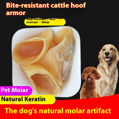 Palo Masticable Anti-Mordida para Perros - Image 10