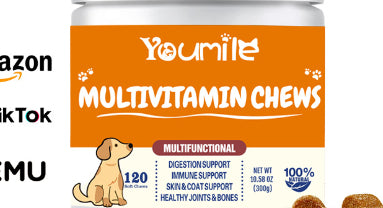 Youmile Multivitamin Chews for dogs, a white jar with an orange label, offering multifunctional health support for joints, skin, immunity, heart, gut, and antio - Image 2