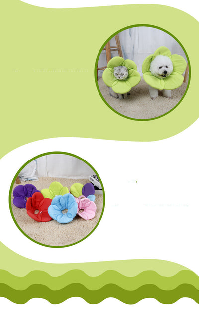 Protector Antirraspuños para Mascotas con Diseño Floral - Image 6