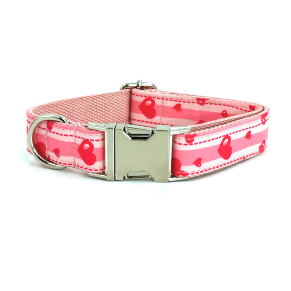 Juego de Collar y Correa para Perros de Alta Calidad