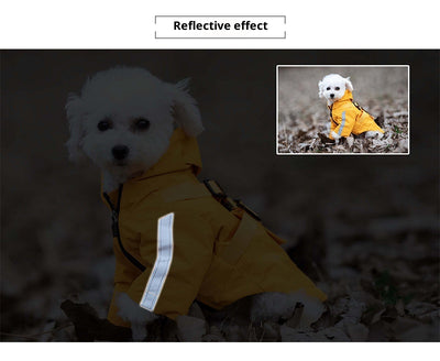 Impermeable para Perros Resistente Todas las Estaciones - Image 13
