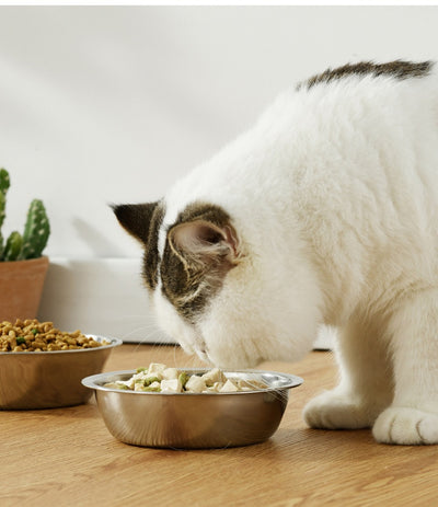Comedero de Acero Inoxidable para Perros y Gatos - Antideslizante y Fácil de Limpiar - Image 8
