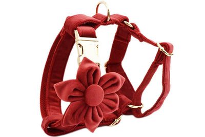 Collar de Tracción Resistente para Perros - Image 15