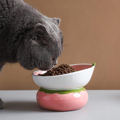 Comedero Elevado de Cerámica para Gatos - Diseño Ergonómico Anti-Vómito Rosa - Image 10