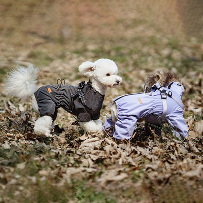 Impermeable para Perros con Estilo Personalizado - Image 19