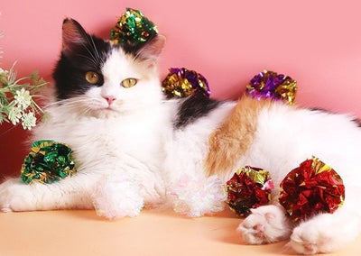 Five iridescent crinkle paper balls, likely cat toys, arranged in a circle on a peach background. - Image 9