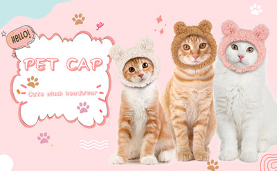 Gorro Disfraz de Osito Cálido para Gatos y Mascotas Pequeñas - Image 15