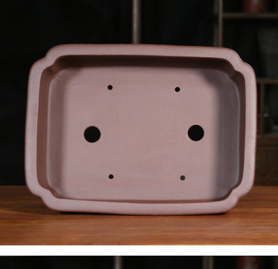 Maceta Rectangular de Arena Púrpura para Bonsái Clásico Interior y Exterior - Image 11