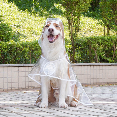 Impermeable Transparente para Perros Pequeños y Medianos con Capucha - Image 5