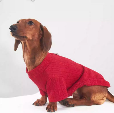 Prenda Base Elástica para Perros y Gatos - Abrigo Otoño e Invierno - Image 10