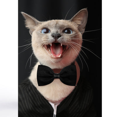 Moño Ajustable para Gatos y Perros - Accesorios para Mascotas - Image 28