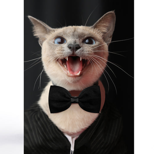 Moño Ajustable para Gatos y Perros - Accesorios para Mascotas - Image 28