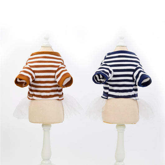Ropa para Perros Pequeños - Disfraz Osito Teddy - Image 3