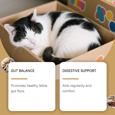 Pellets Probióticos Suaves para Gatos - Image 2