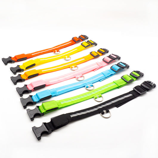 Collar LED Recargable para Mascotas - Image 10
