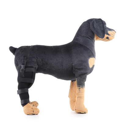 Soporte ortopédico para rehabilitación de patas en mascotas - Image 17