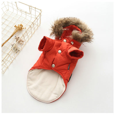 Ropa de Abrigo para Perros - Colección Otoño Invierno - Image 8