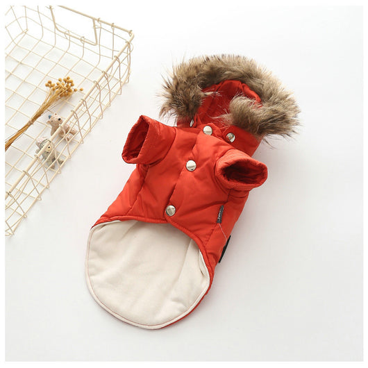 Ropa de Abrigo para Perros - Colección Otoño Invierno - Image 8