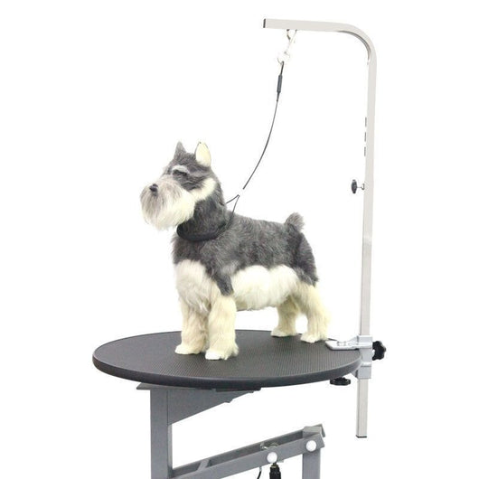 Cuerda de Baño para Mascotas con Ventosa y Alambre de Acero - Image 4