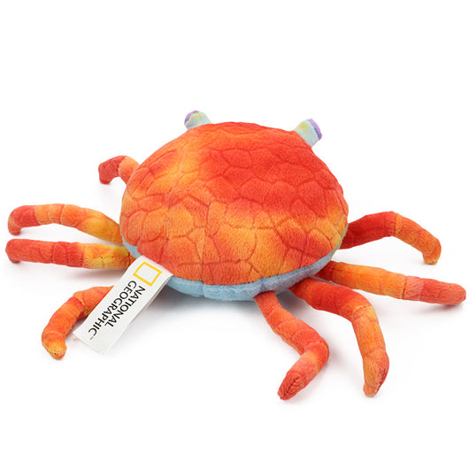 Muñeco Cangrejo de Peluche - Amuleto de Suerte y Decoración - Image 4