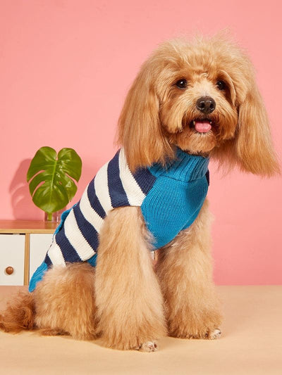 Suéter para Perros Pequeños y Medianos con Cierre de Contraste y Bolsillos - Image 11