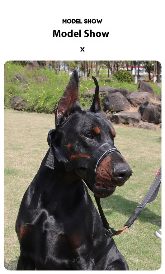 Black and brown leather and nylon dog muzzle with adjustable straps and a D-ring, shown with a size chart. - Image 16