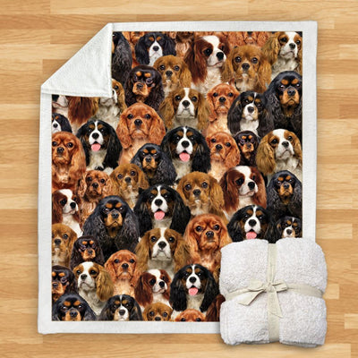 Manta Franela Estampada para Perros - Image 27