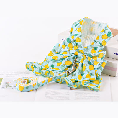 Vestido Princesa Delgado para Perro con Arnés y Cuerda de Paseo Verano - Image 6