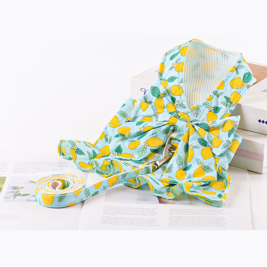 Vestido Princesa Delgado para Perro con Arnés y Cuerda de Paseo Verano - Image 6