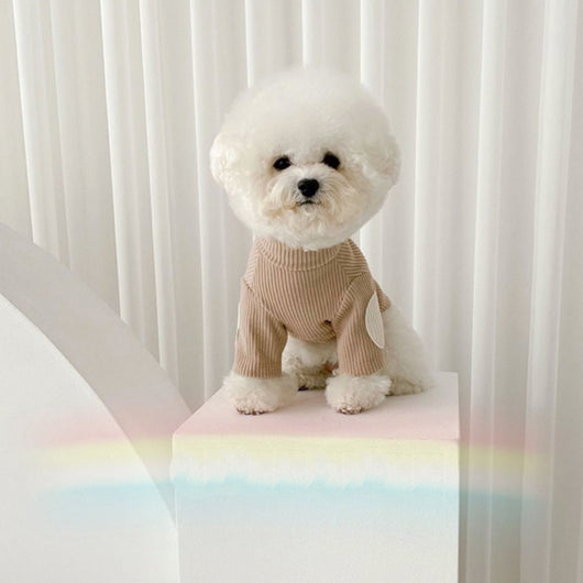 Ropa Térmica para Mascotas con Contraste de Colores y Textura 3D - Image 4