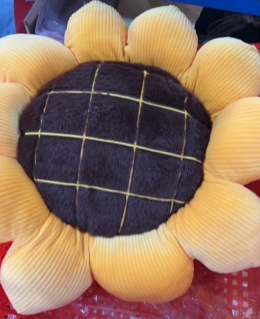 Cojín Decorativo Pequeño Pétalos de Margarita - Image 19