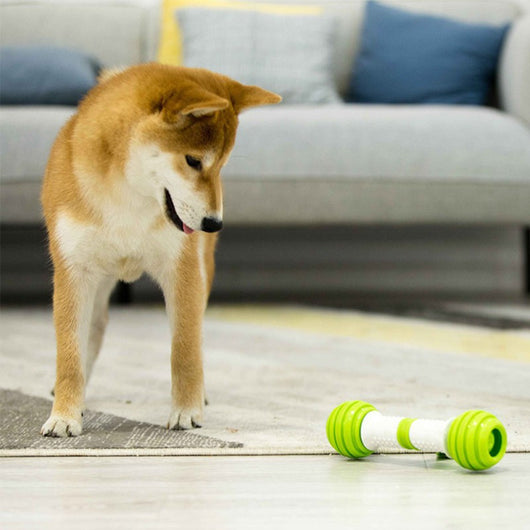 Hueso Juguete Automático Eléctrico para Perros Happy Bone