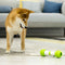 Hueso Juguete Automático Eléctrico para Perros Happy Bone