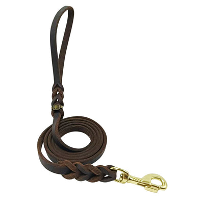 Dark brown braided leather dog leash with a gold-tone swivel snap hook, coiled on a white background. - Image 3