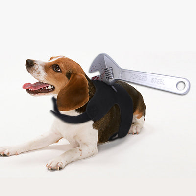 Ropa divertida de Halloween para mascotas - Image 6