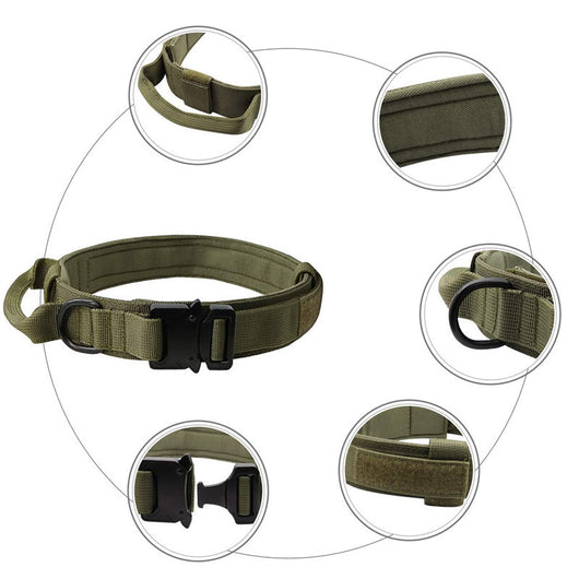 Collar Táctico Personalizado para Perros - Image 19