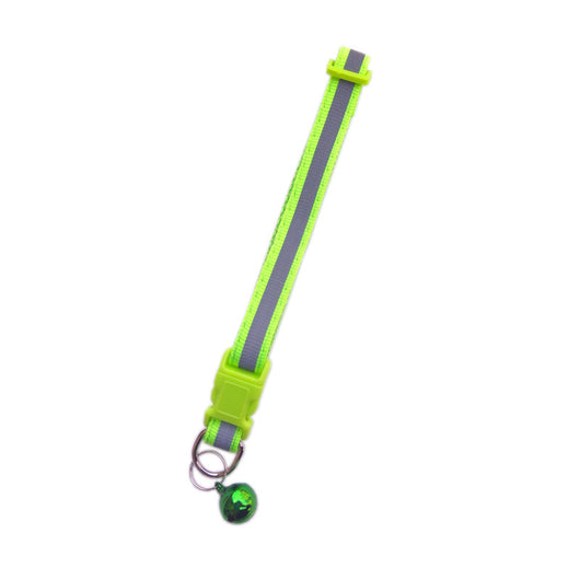 Collar Fluorescente para Perros - Image 5
