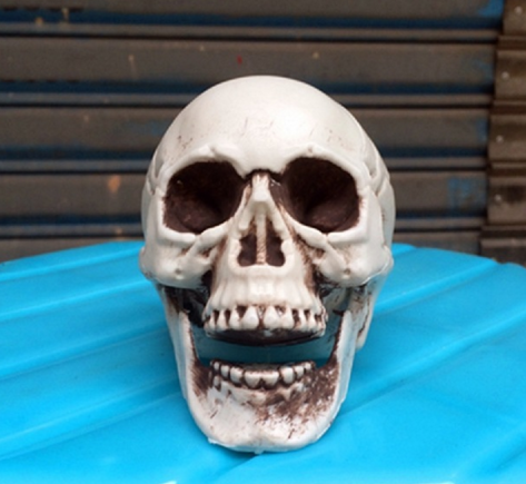 Calavera de Terror Miniatura 5cm - Decoración para Casas Embrujadas