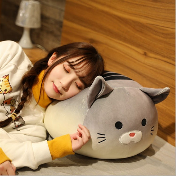 Peluche Gato Pan Suave - Muñeco Dumpling Adorable