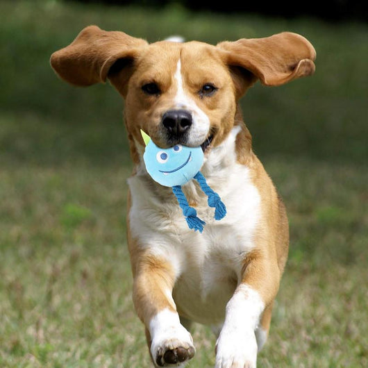 Juguetes Chirriantes para Perros con Diseño de Nudo Fuerte - Juguetes de Dentición Masticables - Image 10