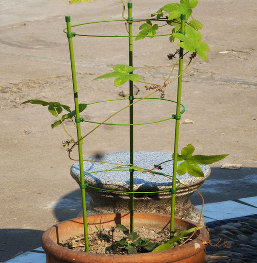 Estructura de Escalada para el Hogar - Image 3