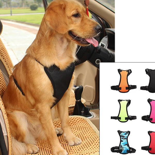 Cinturones de Seguridad para Mascotas en Auto