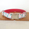 Collar Navideño para Perros