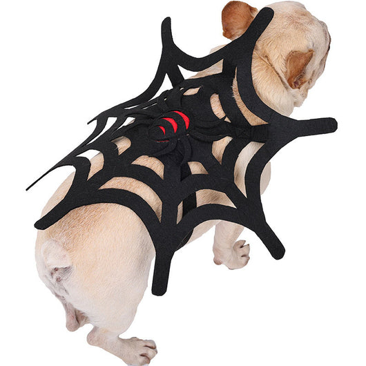 Kit de Transformación Halloween: Disfraz para Mascotas Gato, Perro y Telaraña - Image 9
