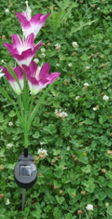 Luz Solar LED Flor de Lirio con Cambio de Color para Jardín - Image 7