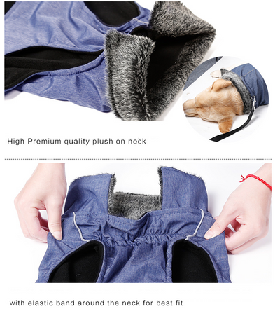 Chaleco Impermeable y Térmico para Perros Grandes - Image 6