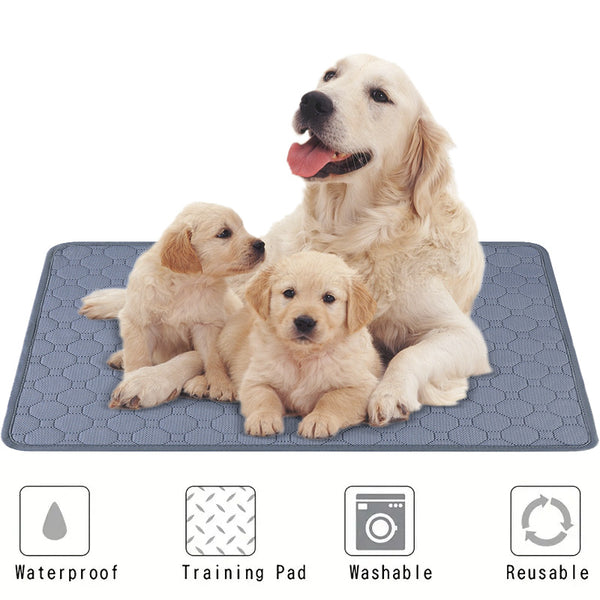Tapete Absorbente Lavable para Mascotas - Protección de 4 Capas Impermeable